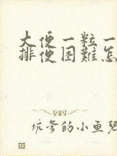 大便一粒一粒硬排便困难怎么办封面