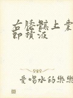 右膝髌上囊及关节积液