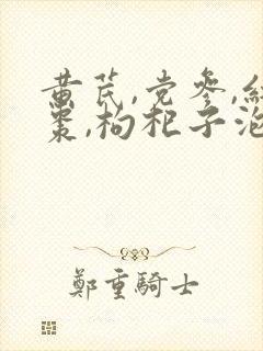 黄芪,党参,红枣,枸杞子泡水喝作用与功效封面
