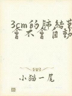 3cm的肺结节会不会自动消失