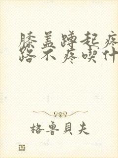 膝盖蹲起疼痛走路不疼吃什么药