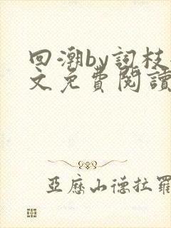 回潮by词枝全文免费阅读笔趣阁封面