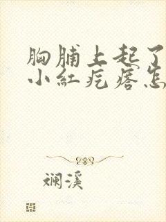 胸脯上起了好多小红疙瘩怎么回事封面