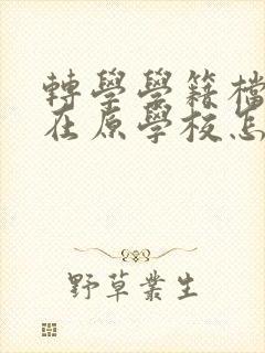 转学学籍档案还在原学校怎么办