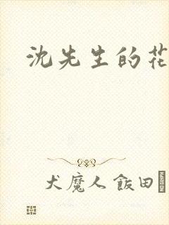 沈先生的花式