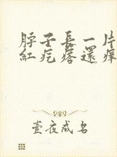 脖子长一片一片红疙瘩还痒怎么回事