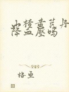 山楂黄芪丹参能降血压吗
