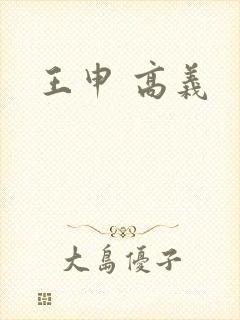 王申 高义