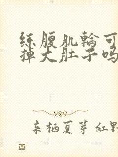 练腹肌轮可以减掉大肚子吗
