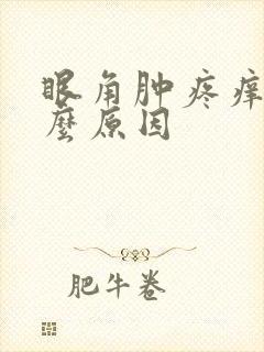 眼角肿疼痒是什么原因封面