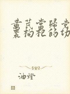 黄芪当归党参红枣枸杞的功效及作用