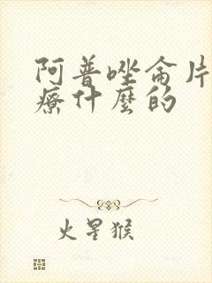 阿普唑仑片是治疗什么的