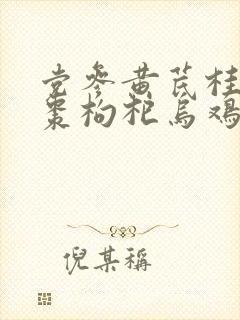 党参黄芪桂圆红枣枸杞乌鸡汤封面