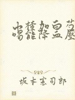 山楂加白芍泡水喝能降血压吗