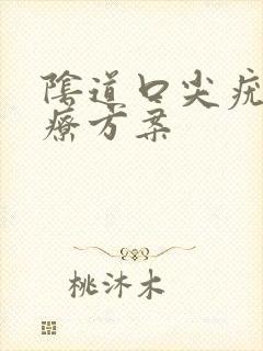 阴道口尖疣湿治疗方案