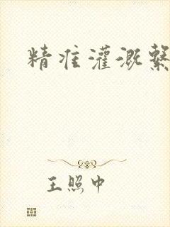 精准灌溉系统封面