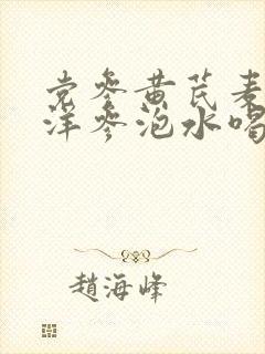 党参黄芪麦冬西洋参泡水喝的功效与作用封面