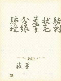 肺分叶状结节,边缘有毛刺封面