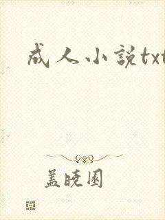 成人小说txt