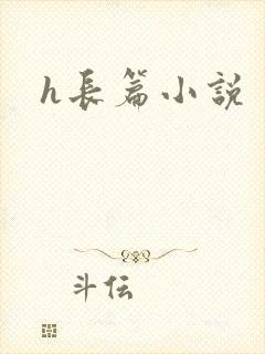 h长篇小说