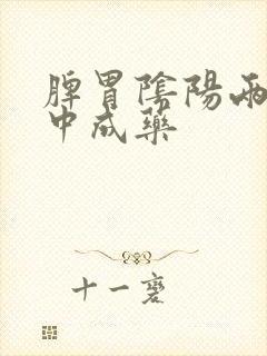 脾胃阴阳两虚的中成药