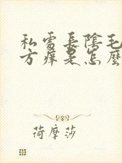 私处长阴毛的地方痒是怎么回事封面