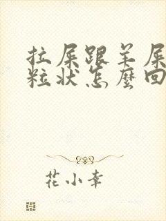 拉屎跟羊屎那种粒状怎么回事封面