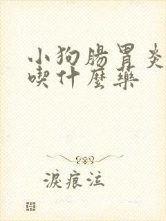 小狗肠胃炎拉血吃什么药