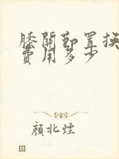 膝关节置换手术费用多少