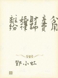 离婚财产分割纠纷律师费用