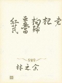 红枣枸杞党参黄芪当归