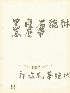 黑曜石貔貅手链怎么带