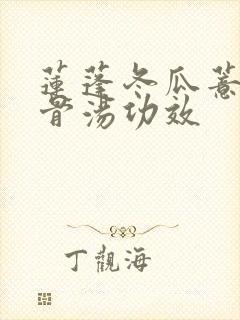 莲蓬冬瓜薏米猪骨汤功效封面