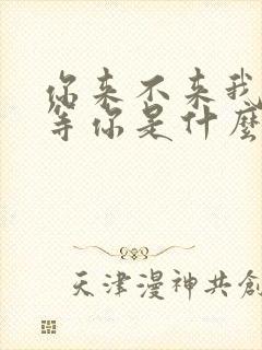 你来不来我都在等你是什么歌