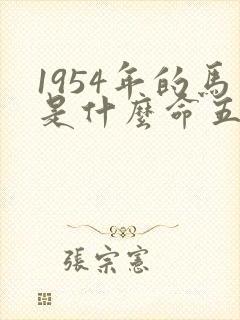 1954年的马是什么命五行属什么封面