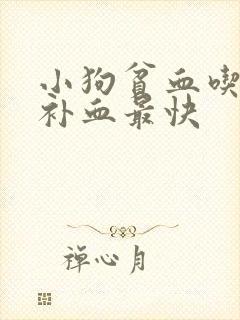 小狗贫血吃什么补血最快