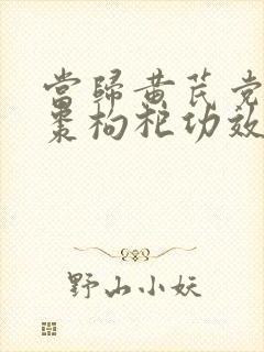 当归黄芪党参红枣枸杞功效与作用