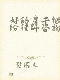 好的房子继承纠纷律师咨询封面