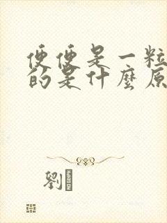 便便是一粒一粒的是什么原因封面