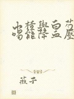 山楂与白芍泡水喝能降血压吗
