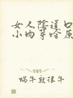 女人阴道口边有小肉芽啥原因