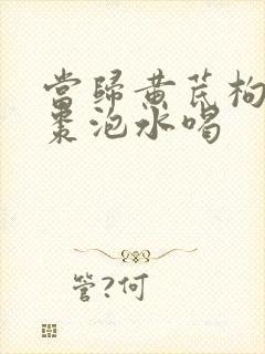 当归黄芪枸杞红枣泡水喝