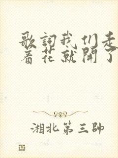 歌词我们走着走着花就开了是什么歌