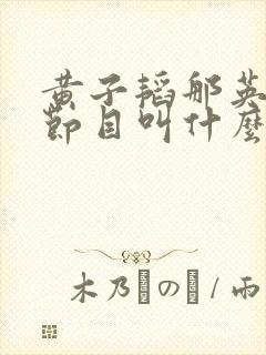 黄子韬那英综艺节目叫什么