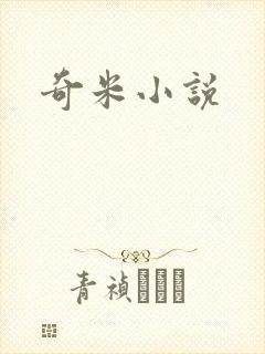 奇米小说封面