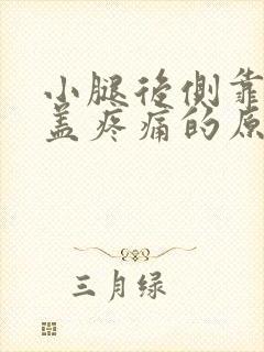 小腿后侧靠近膝盖疼痛的原因