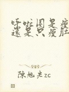 呼啦圈是瘦全身还是只瘦肚子