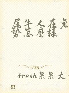 属牛人在兔年运势怎么样