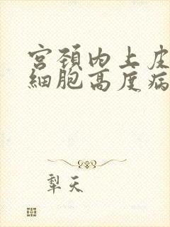 宫颈内上皮鳞状细胞高度病变