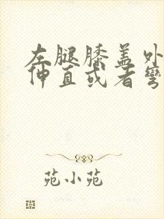 左腿膝盖外侧疼伸直或者弯曲疼怎么办